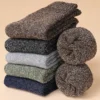 Lot de 5 paires de chaussettes thermiques en laine mérinos
